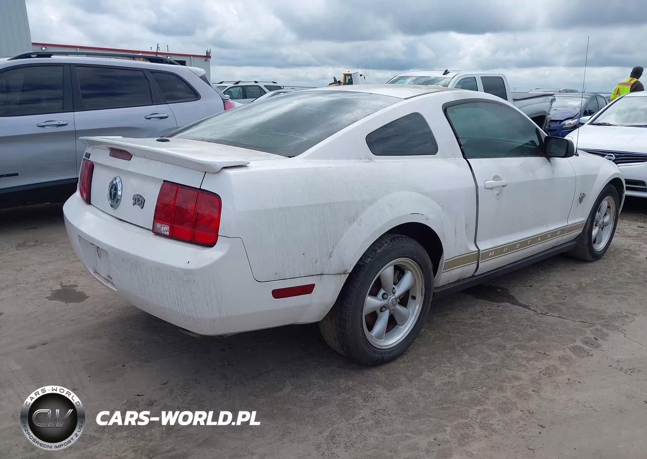 2009 Ford Mustang V6-V6 Premium VIN:1ZVHT80N395131845 - 4