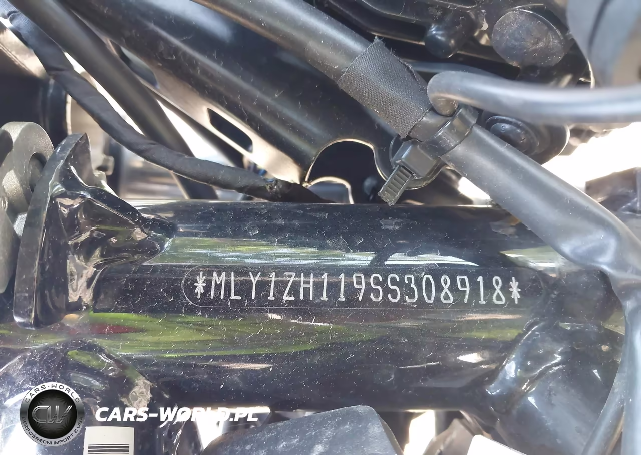 2025 Harley-Davidson Rh975 VIN:MLY1ZH119SS308918 - 10