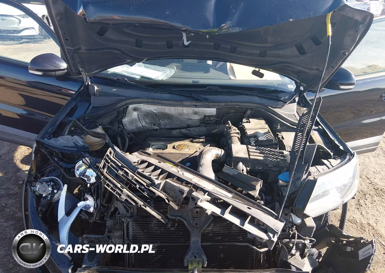 2016 Volkswagen Tiguan S VIN:WVGAV7AX6GW531099 - 10
