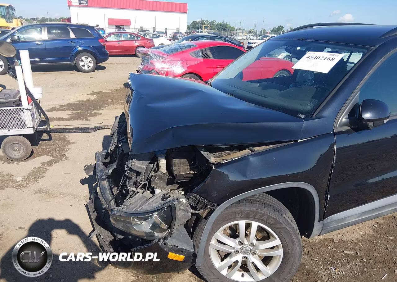 2016 Volkswagen Tiguan S VIN:WVGAV7AX6GW531099 - 19