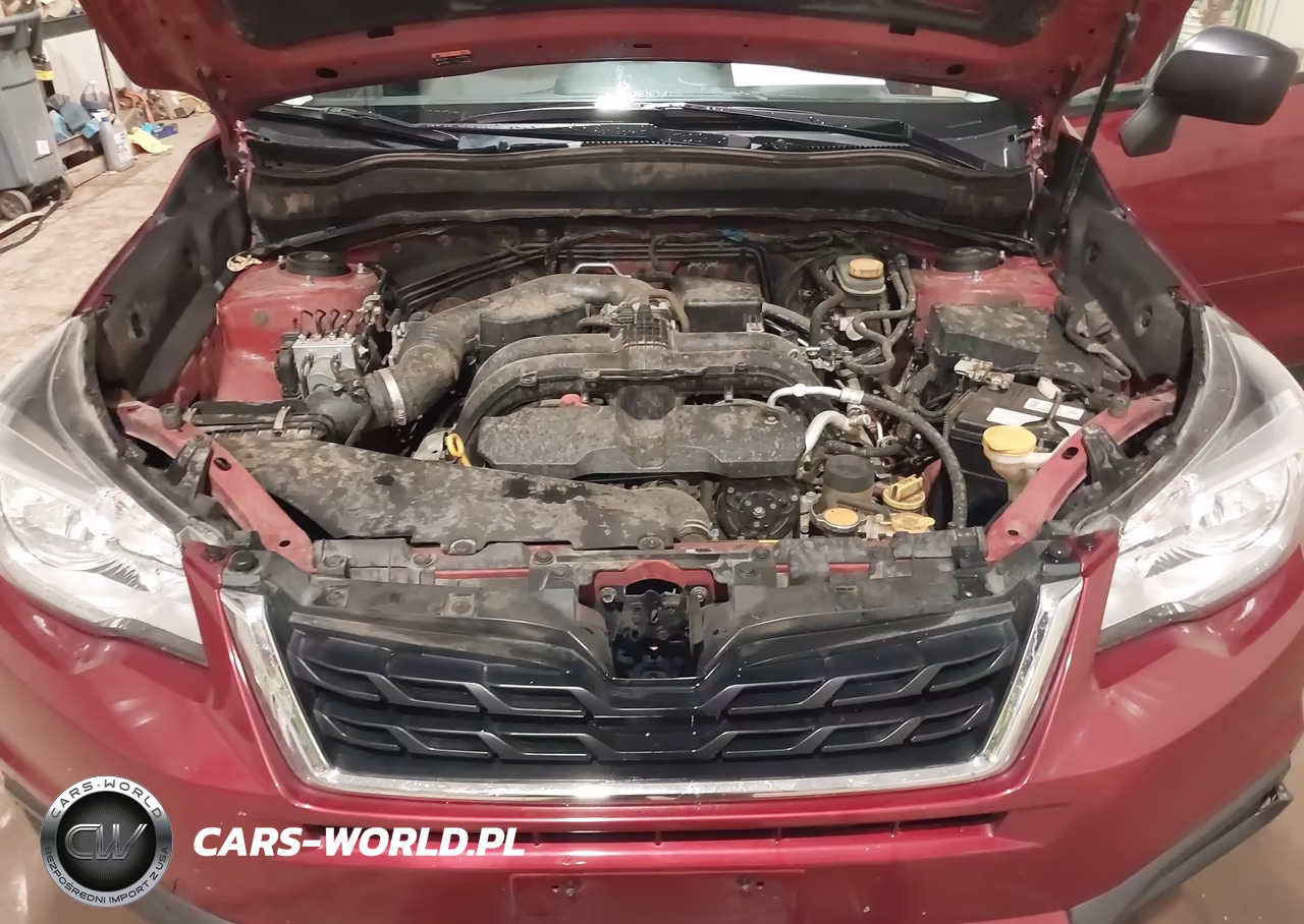 2018 Subaru Forester 2.5I VIN:JF2SJAAC0JH474362 - 10