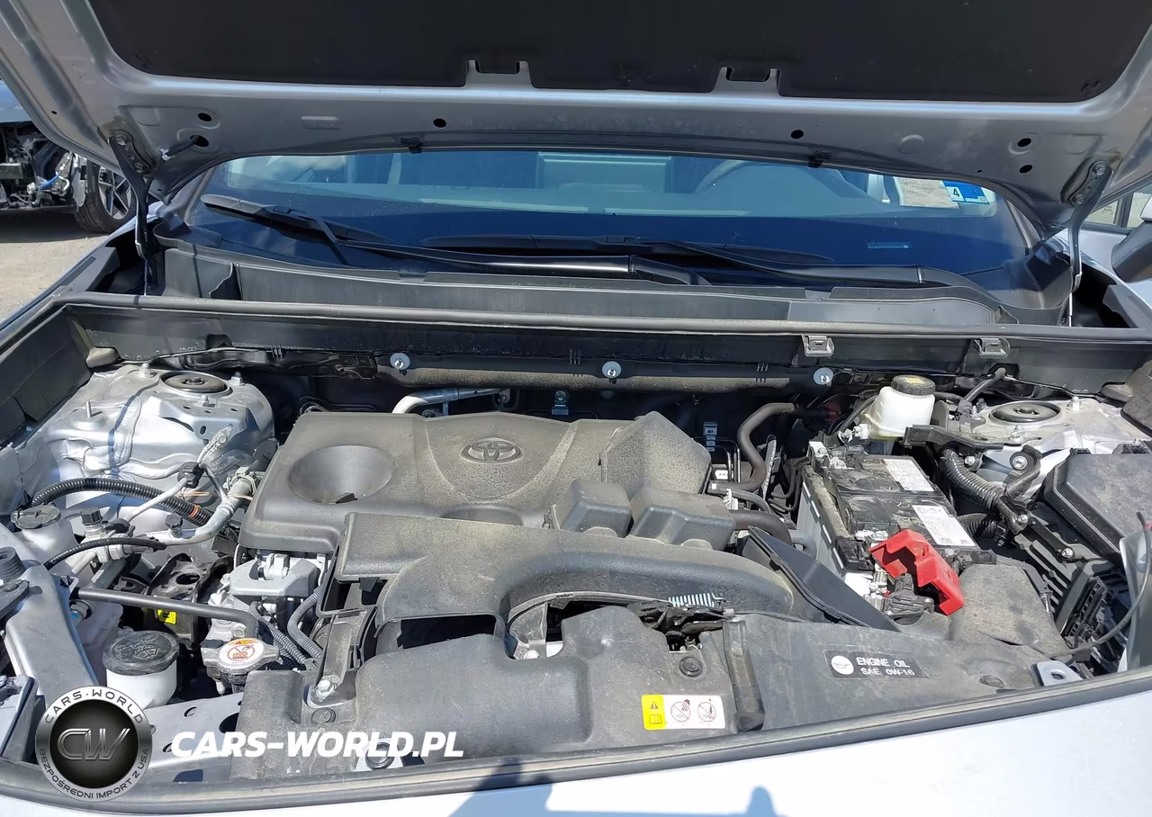 2025 Toyota Rav4 Xle VIN:2T3W1RFV5SC313611 - 10
