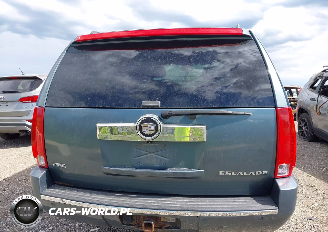 2009 Cadillac Escalade Esv Standard VIN:1GYFK26239R238887 - 16
