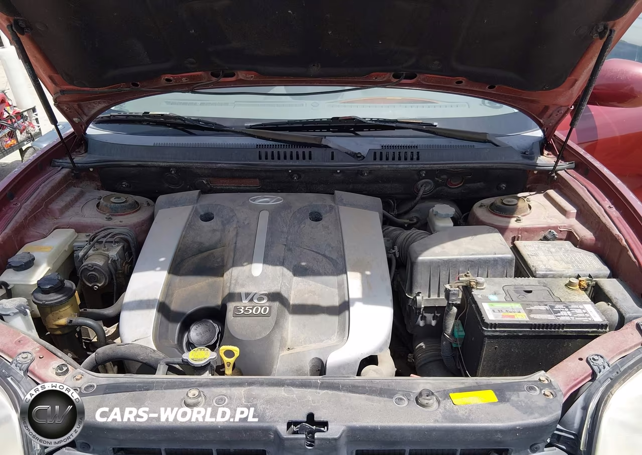 2005 Hyundai Santa Fe Gls-Lx VIN:KM8SC13E05U941649 - 10