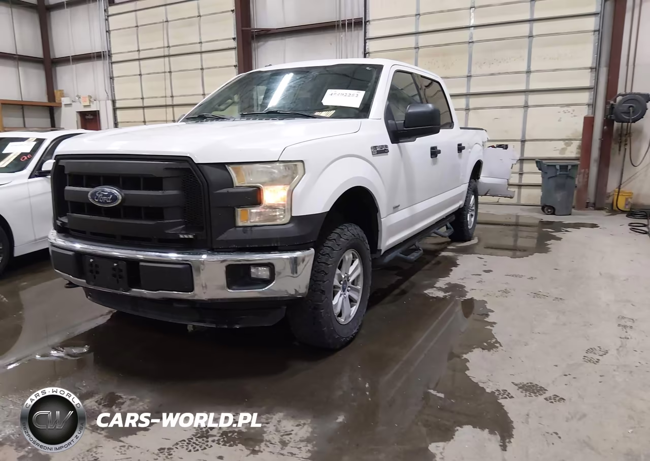 2016 Ford F-150 Xlt VIN:1FTEW1EG7GKD01556 - 2