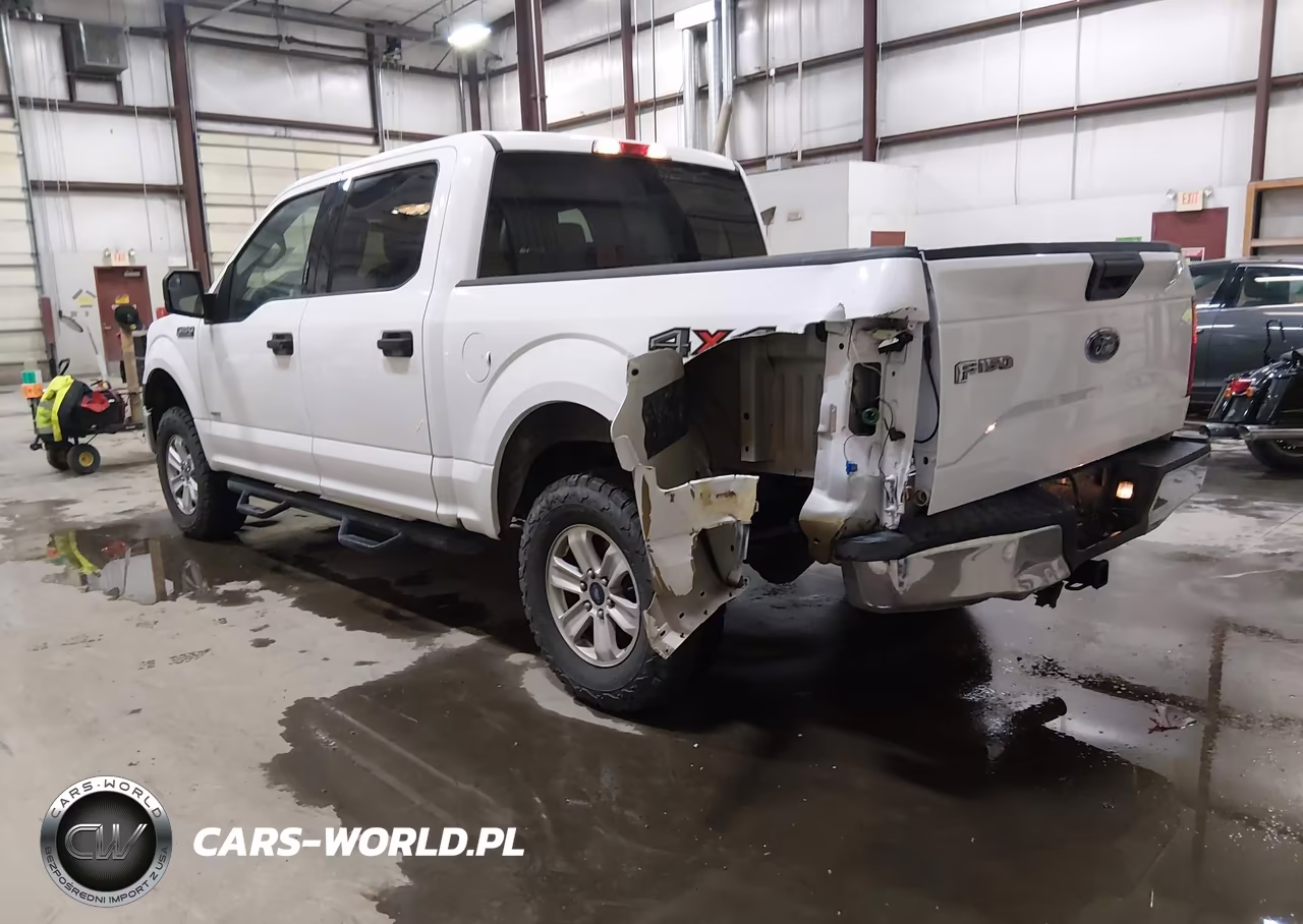 2016 Ford F-150 Xlt VIN:1FTEW1EG7GKD01556 - 3