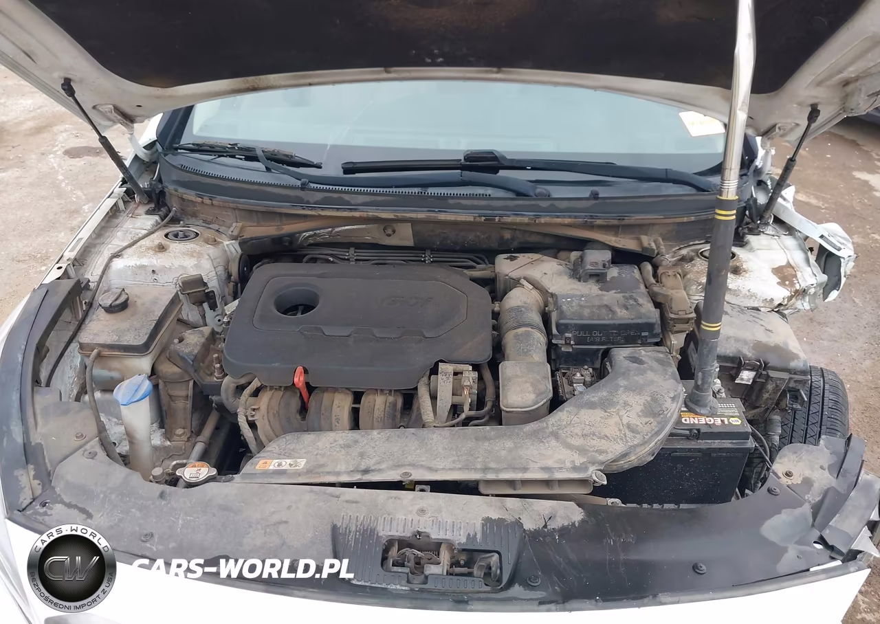 2016 Hyundai Sonata Se VIN:5NPE24AF2GH274176 - 10