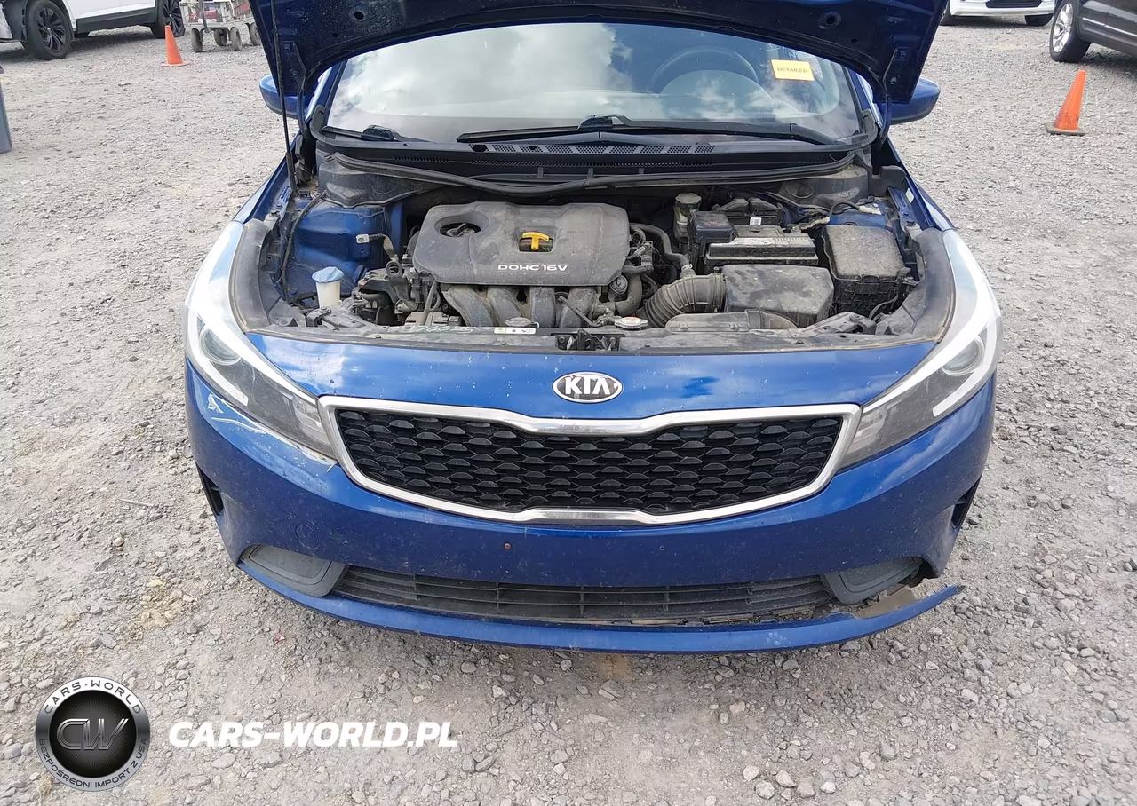 2017 Kia Forte Lx VIN:3KPFL4A73HE131012 - 10