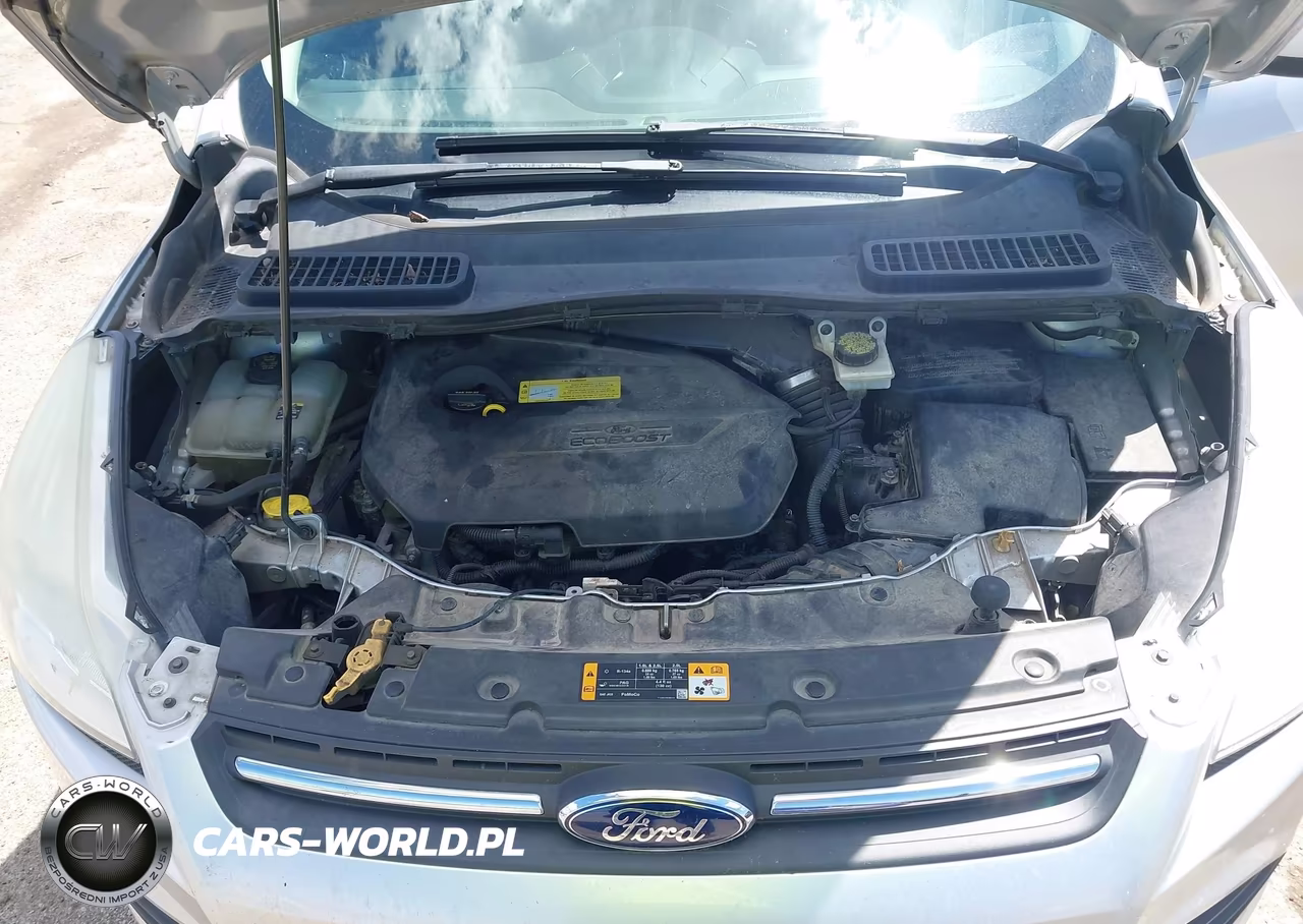 2013 Ford Escape Se VIN:1FMCU0GX5DUA47913 - 10