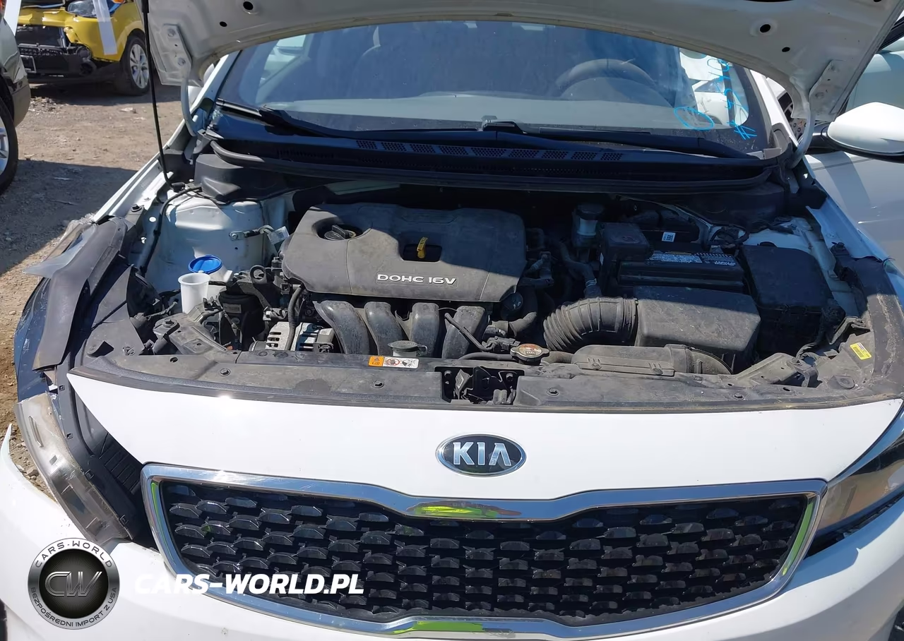 2017 Kia Forte Lx VIN:3KPFK4A76HE037841 - 10