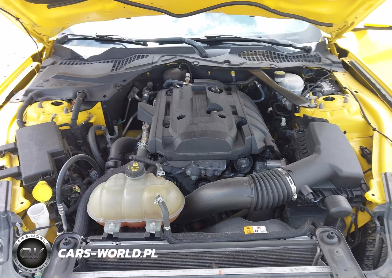 2017 Ford Mustang Ecoboost Premium VIN:1FATP8UH3H5302135 - 10