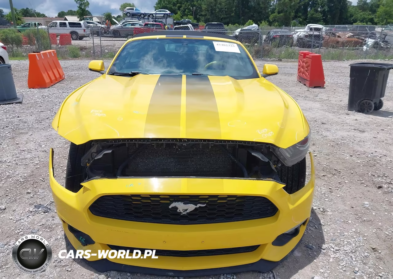 2017 Ford Mustang Ecoboost Premium VIN:1FATP8UH3H5302135 - 12