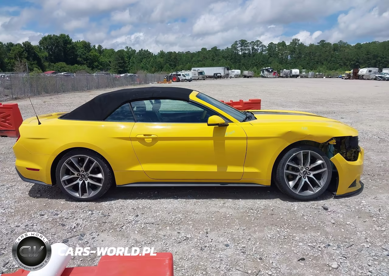 2017 Ford Mustang Ecoboost Premium VIN:1FATP8UH3H5302135 - 13