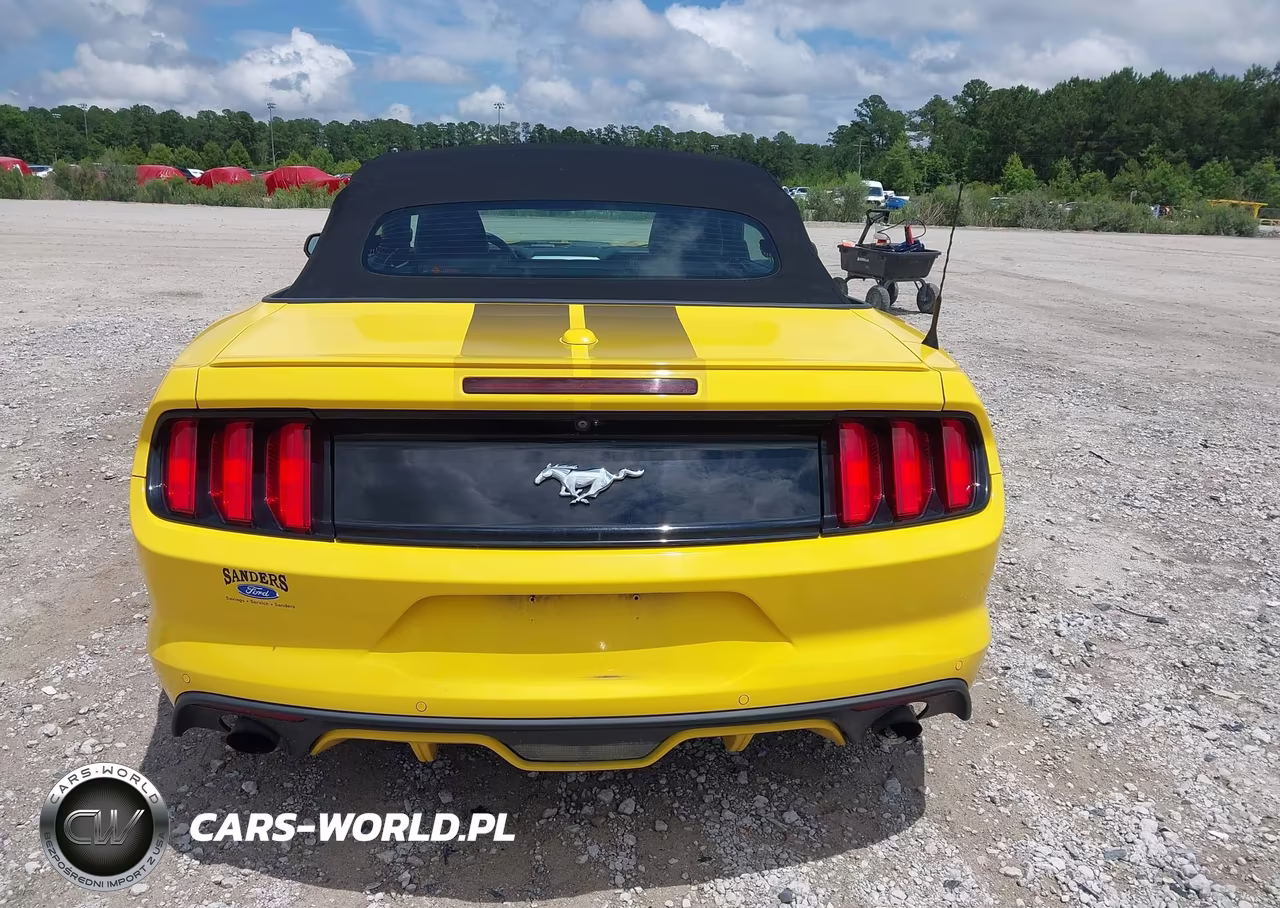 2017 Ford Mustang Ecoboost Premium VIN:1FATP8UH3H5302135 - 16