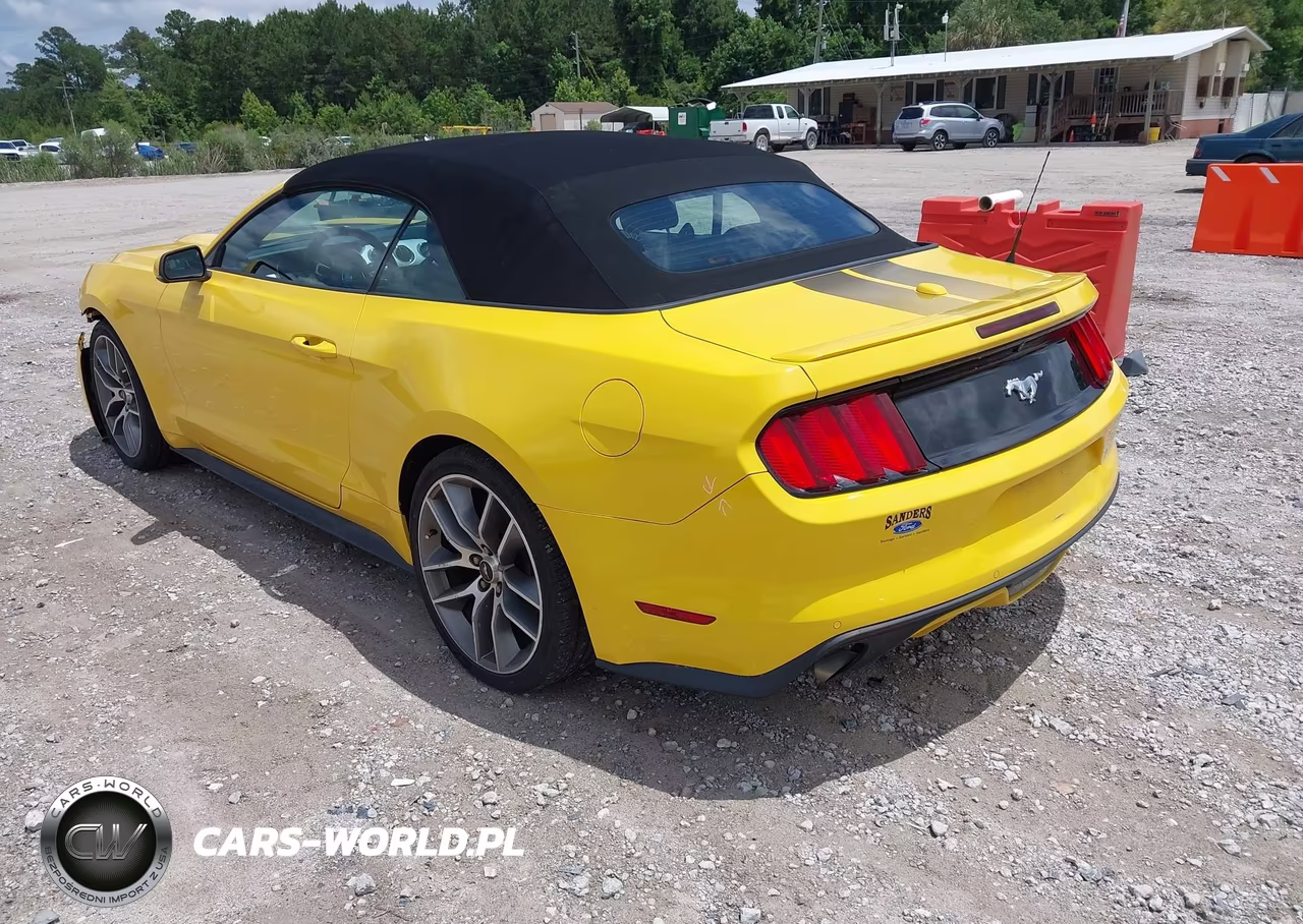 2017 Ford Mustang Ecoboost Premium VIN:1FATP8UH3H5302135 - 3