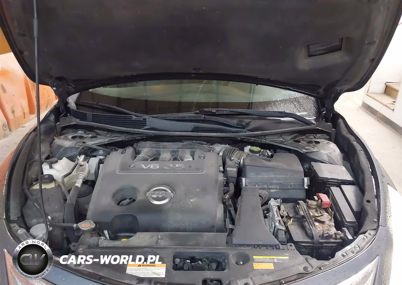 2013 Nissan Altima 3.5 Sl VIN:1N4BL3AP6DC108551 - 10