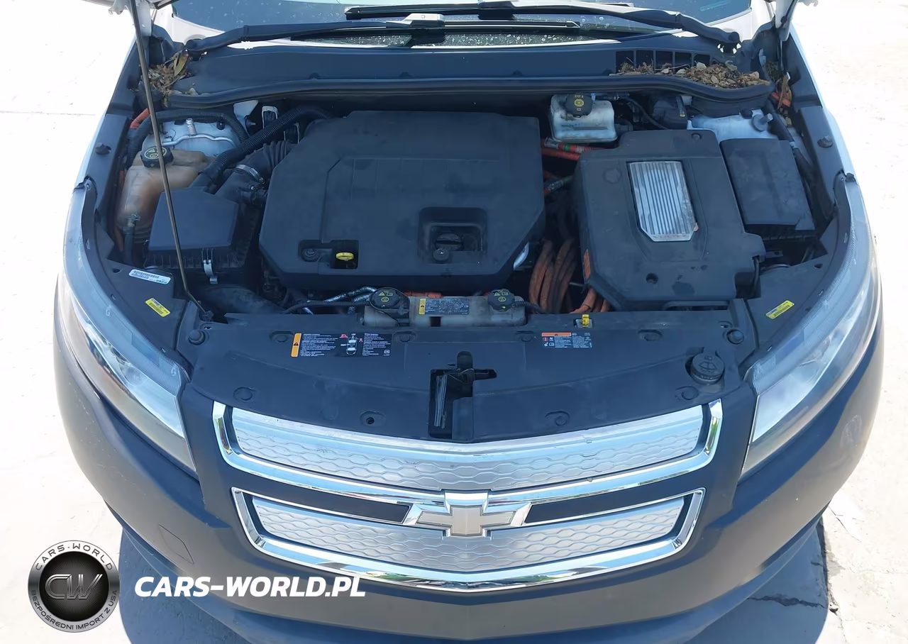 2014 Chevrolet Volt VIN:1G1RE6E46EU165695 - 10
