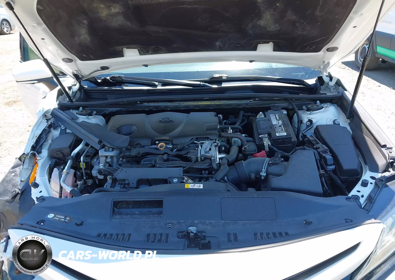 2019 Toyota Camry Xse VIN:4T1B61HK6KU725547 - 10