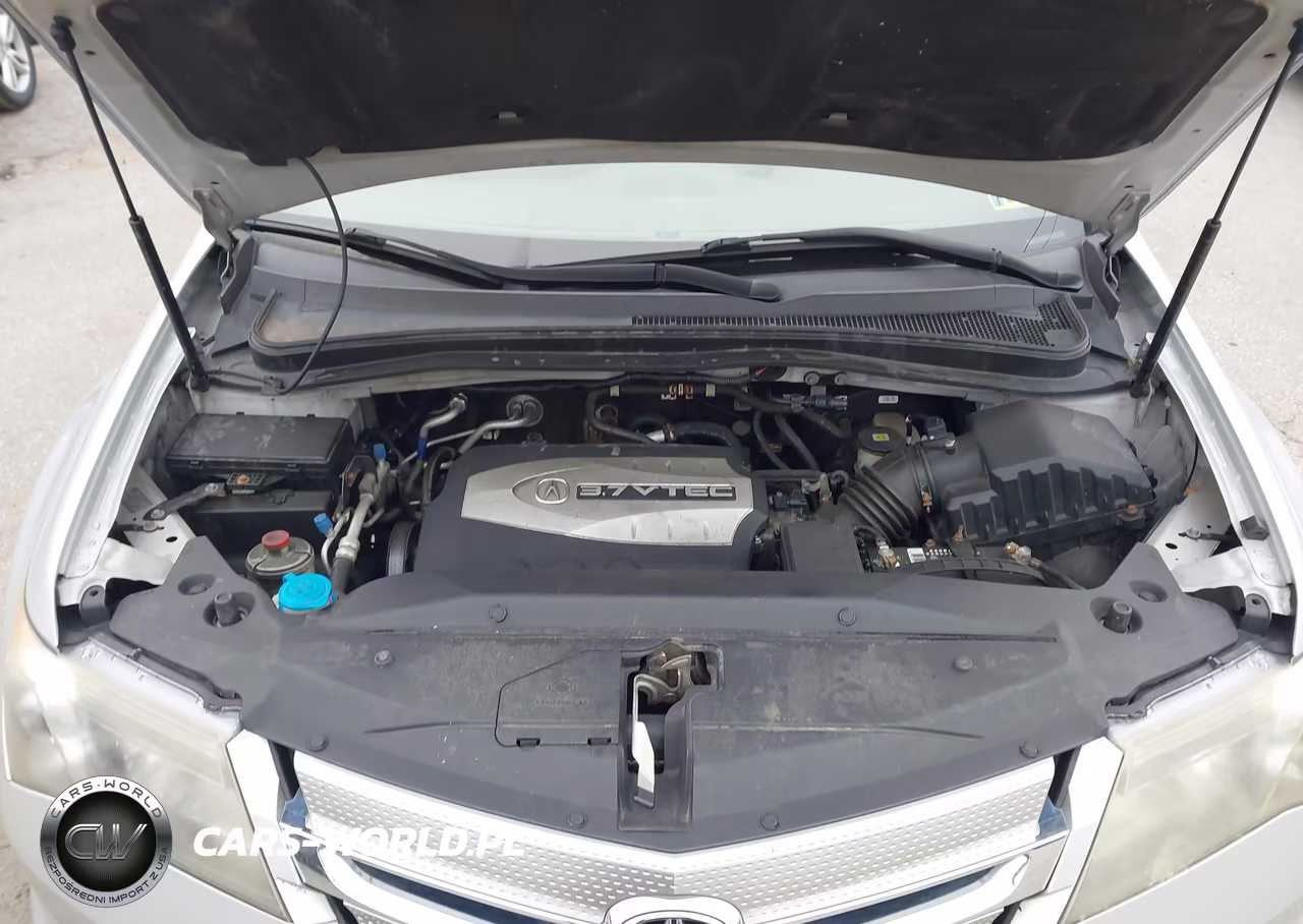 2009 Acura Mdx VIN:2HNYD28229H528117 - 10