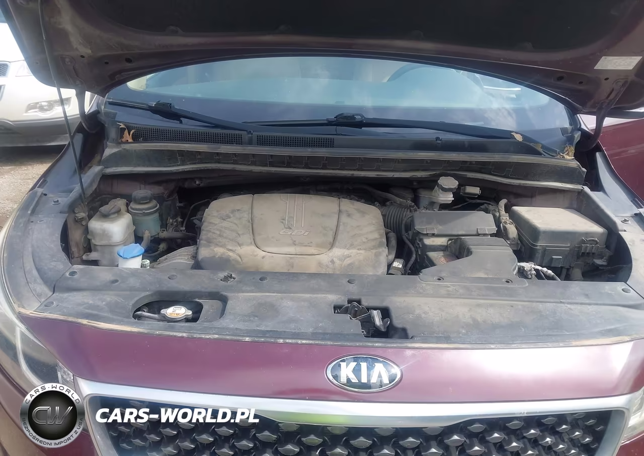 2015 Kia Sedona Lx VIN:KNDMB5C18F6024159 - 10