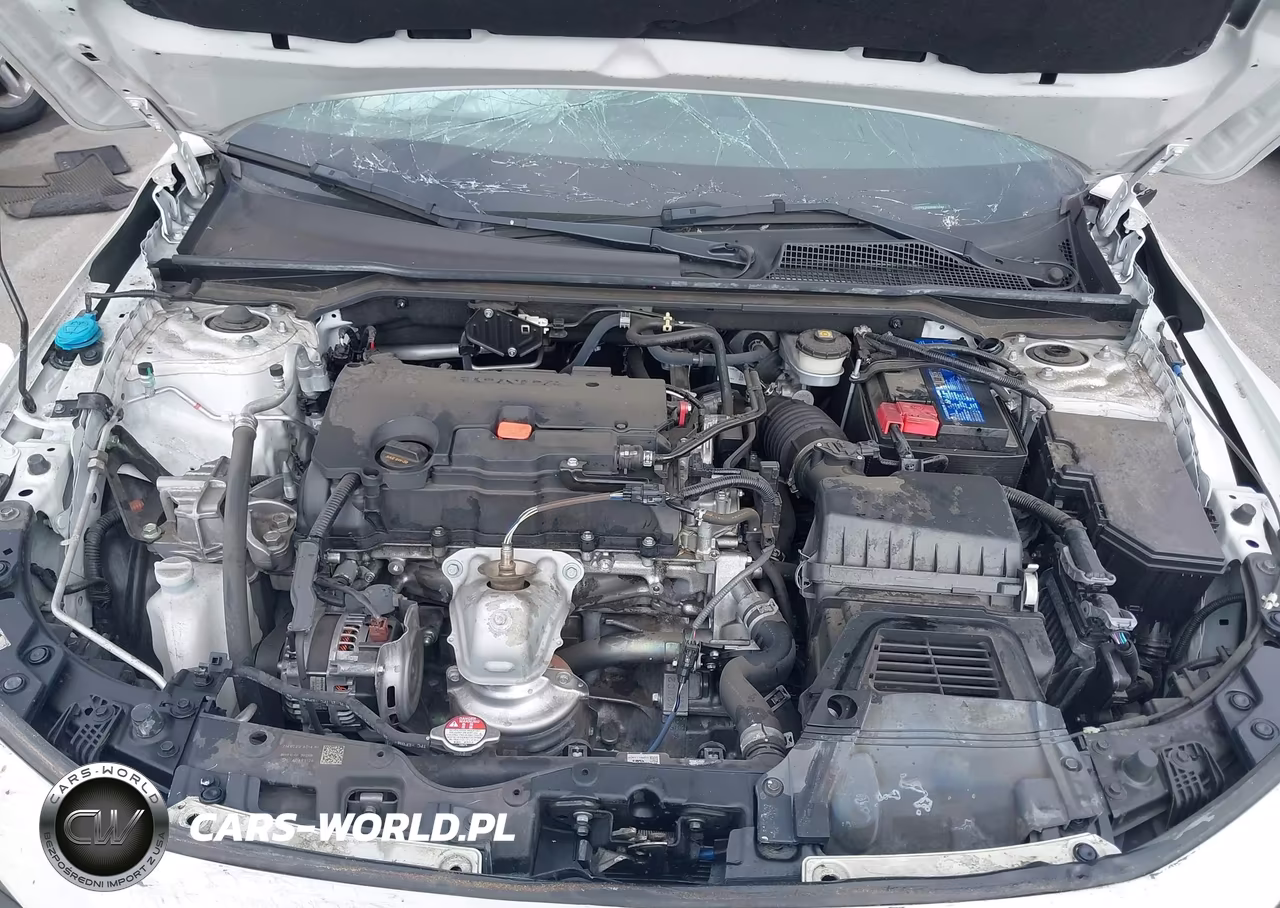 2024 Honda Civic Sport VIN:2HGFE2F50RH512944 - 10