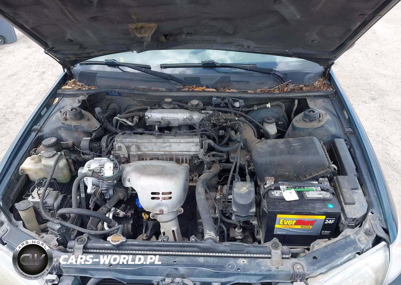 1997 Toyota Camry Le VIN:4T1BG22K7VU773106 - 10