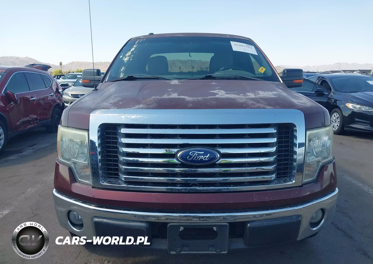 2010 Ford F-150 Xlt VIN:1FTEX1C82AKE55480 - 12