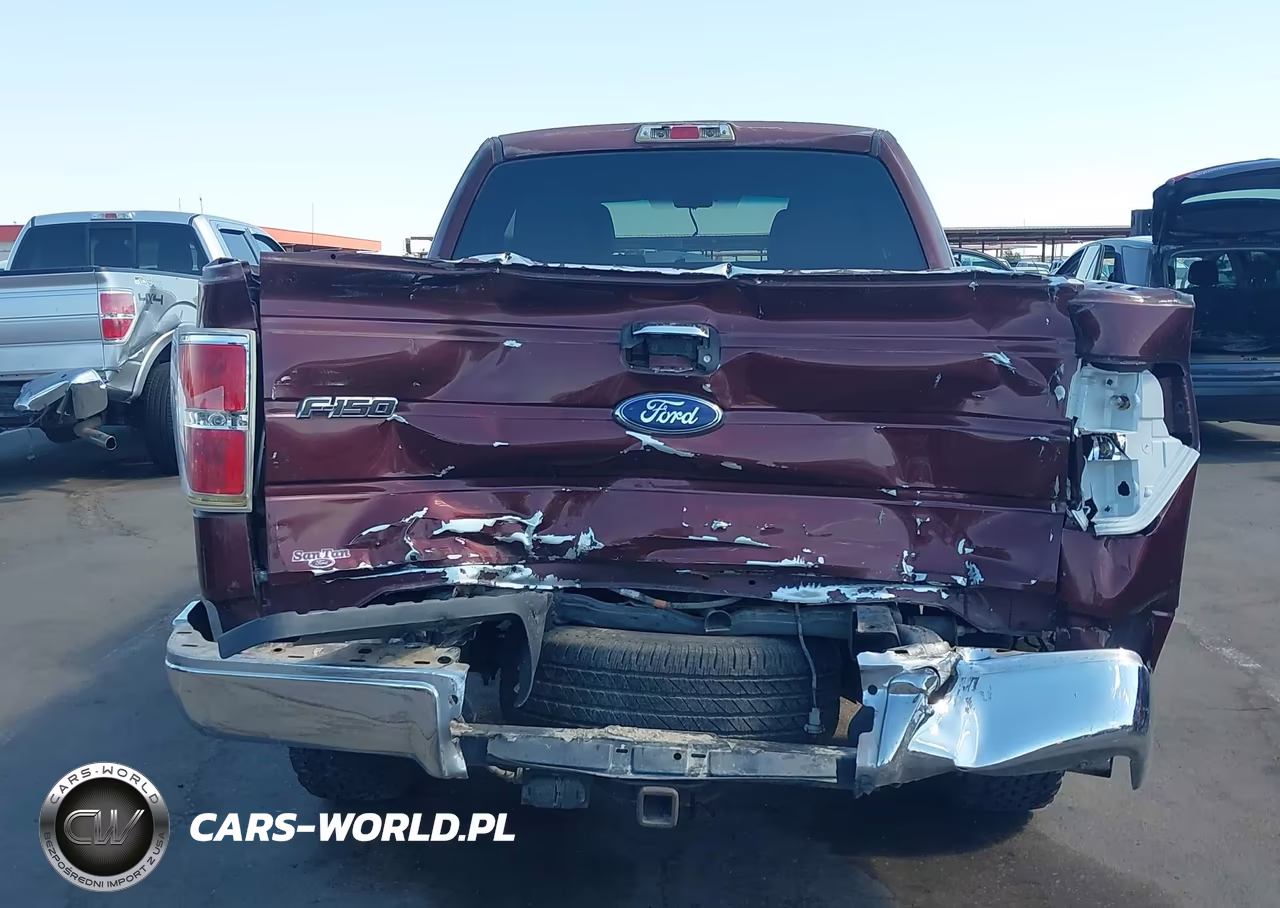 2010 Ford F-150 Xlt VIN:1FTEX1C82AKE55480 - 16