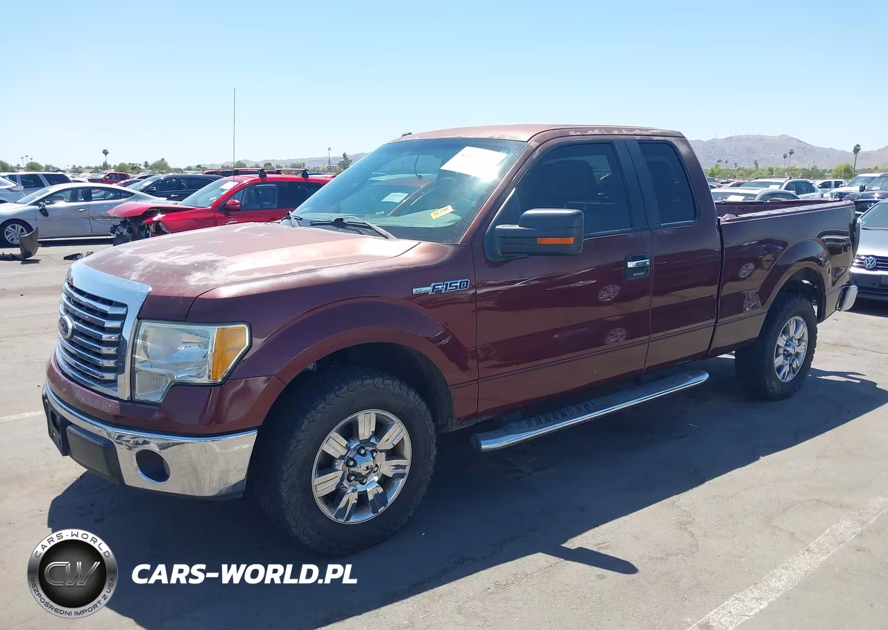 2010 Ford F-150 Xlt VIN:1FTEX1C82AKE55480 - 2
