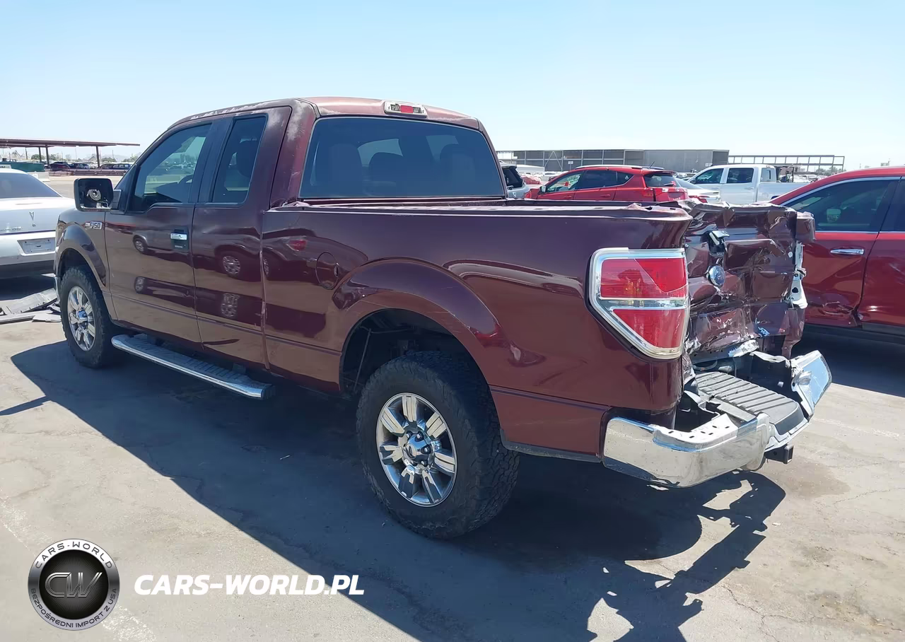 2010 Ford F-150 Xlt VIN:1FTEX1C82AKE55480 - 3