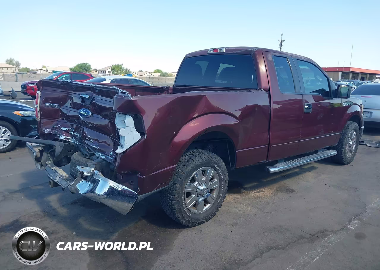 2010 Ford F-150 Xlt VIN:1FTEX1C82AKE55480 - 4