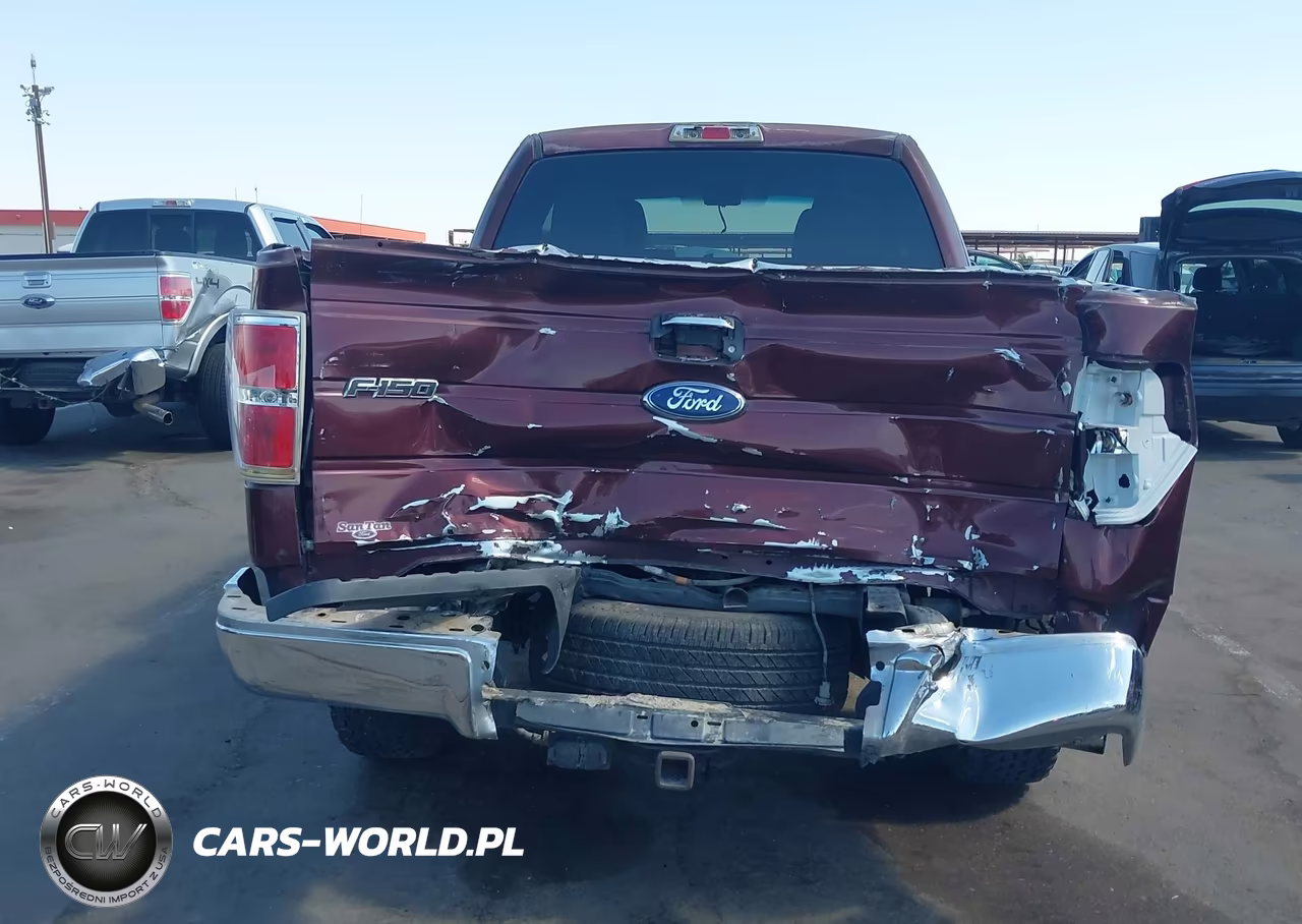 2010 Ford F-150 Xlt VIN:1FTEX1C82AKE55480 - 6