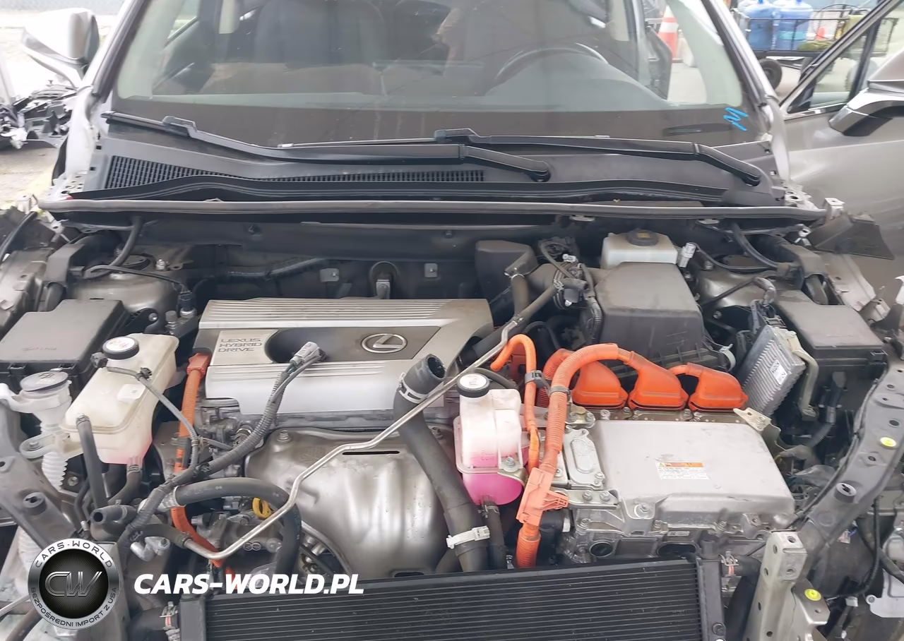 2020 Lexus Nx 300H VIN:JTJGJRDZ1L5006029 - 10