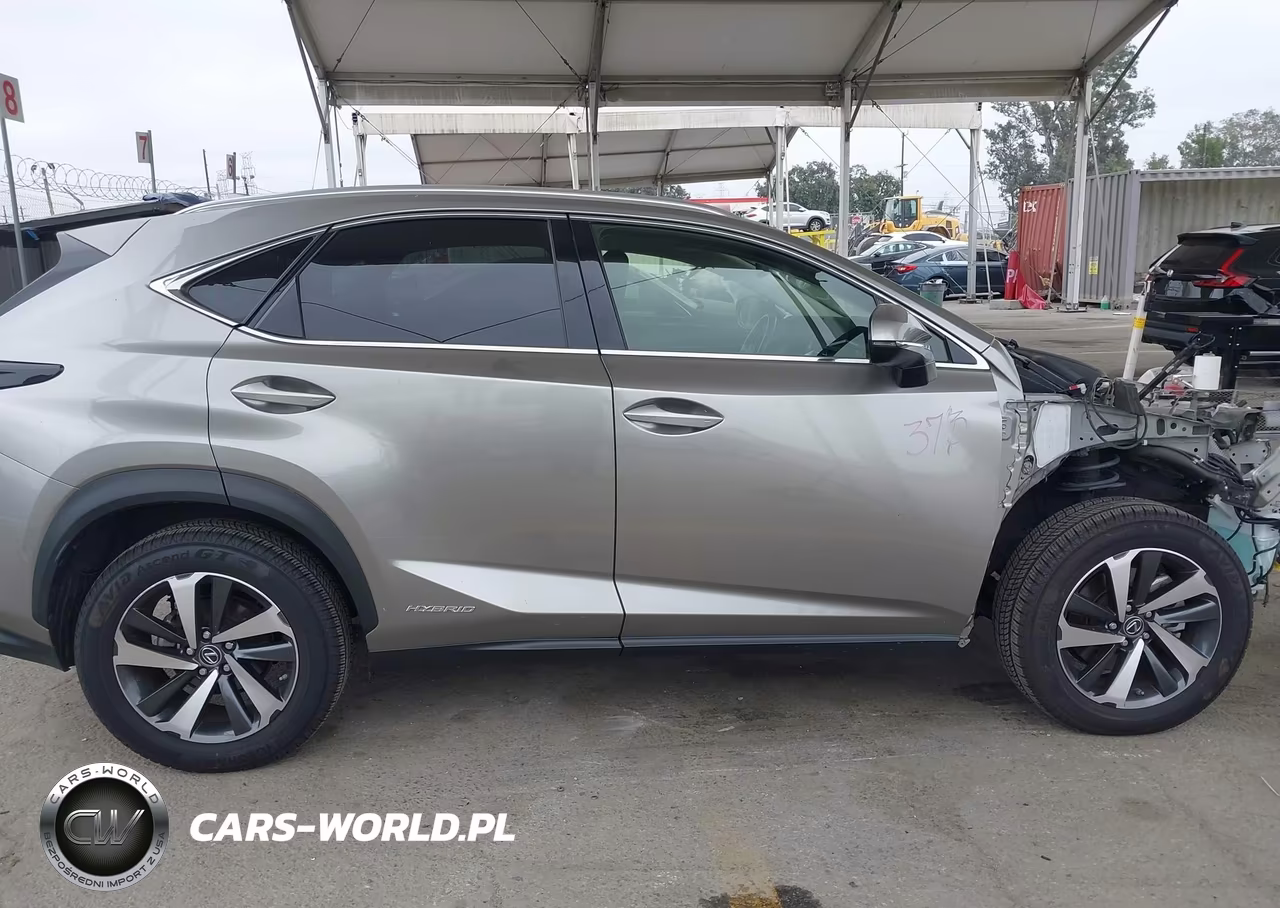 2020 Lexus Nx 300H VIN:JTJGJRDZ1L5006029 - 14