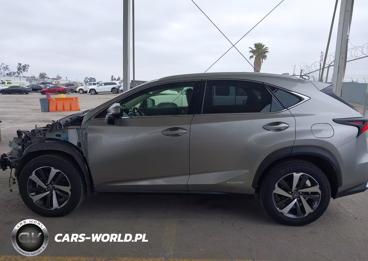 2020 Lexus Nx 300H VIN:JTJGJRDZ1L5006029 - 15