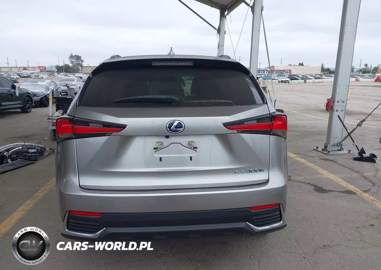 2020 Lexus Nx 300H VIN:JTJGJRDZ1L5006029 - 17
