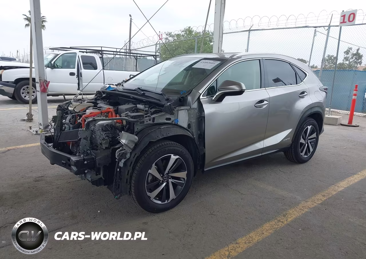 2020 Lexus Nx 300H VIN:JTJGJRDZ1L5006029 - 2