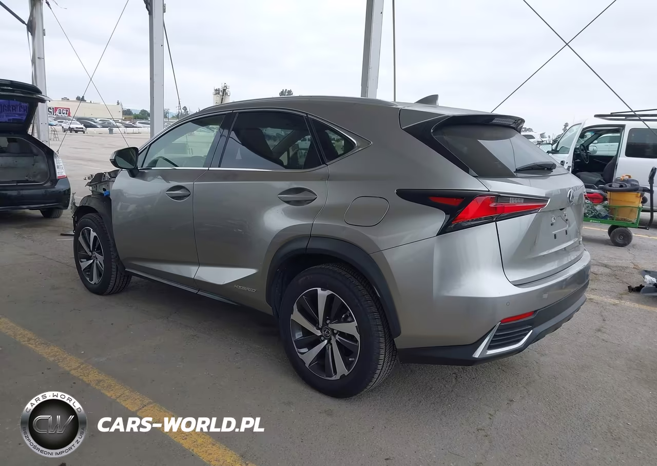2020 Lexus Nx 300H VIN:JTJGJRDZ1L5006029 - 3