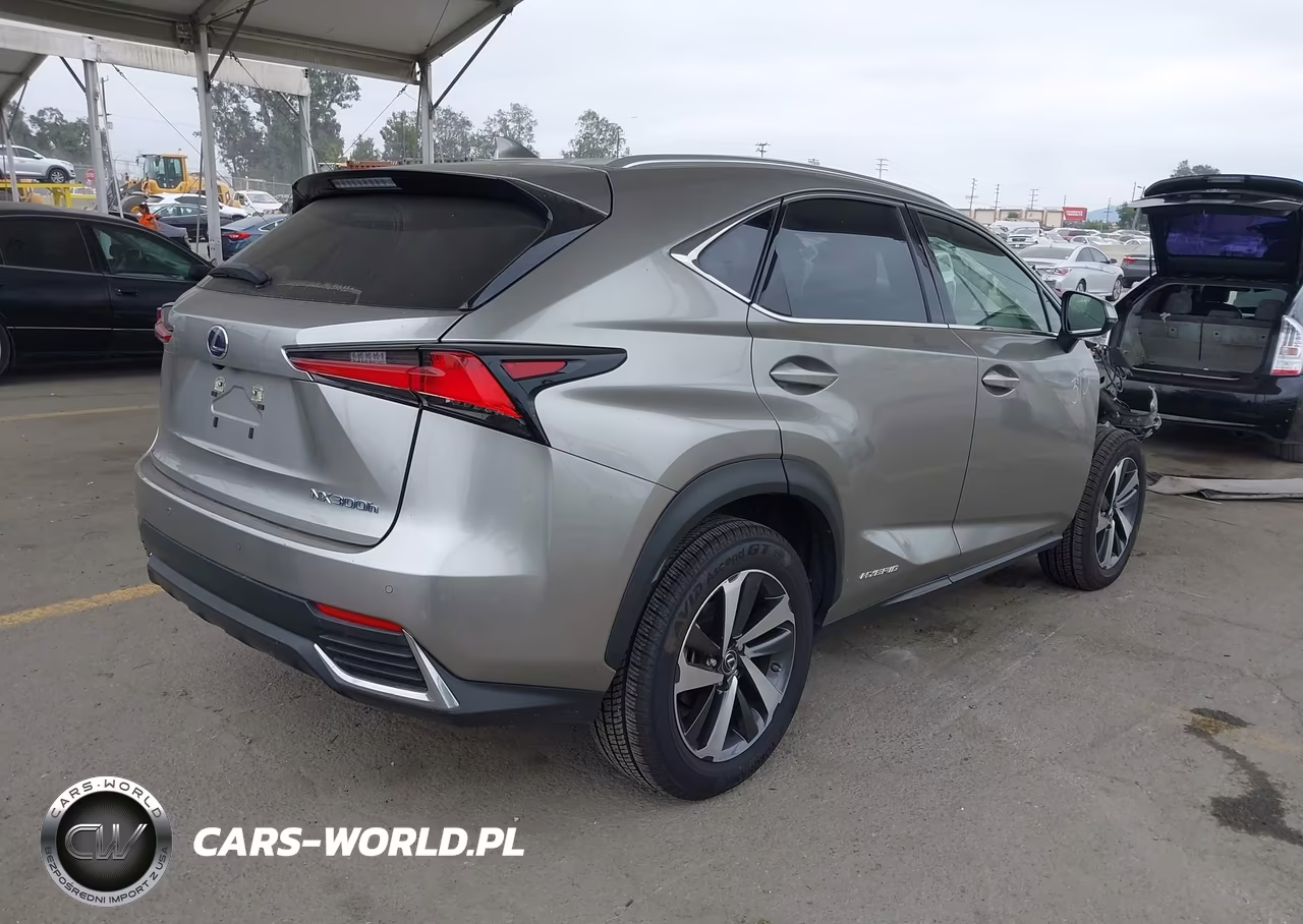2020 Lexus Nx 300H VIN:JTJGJRDZ1L5006029 - 4