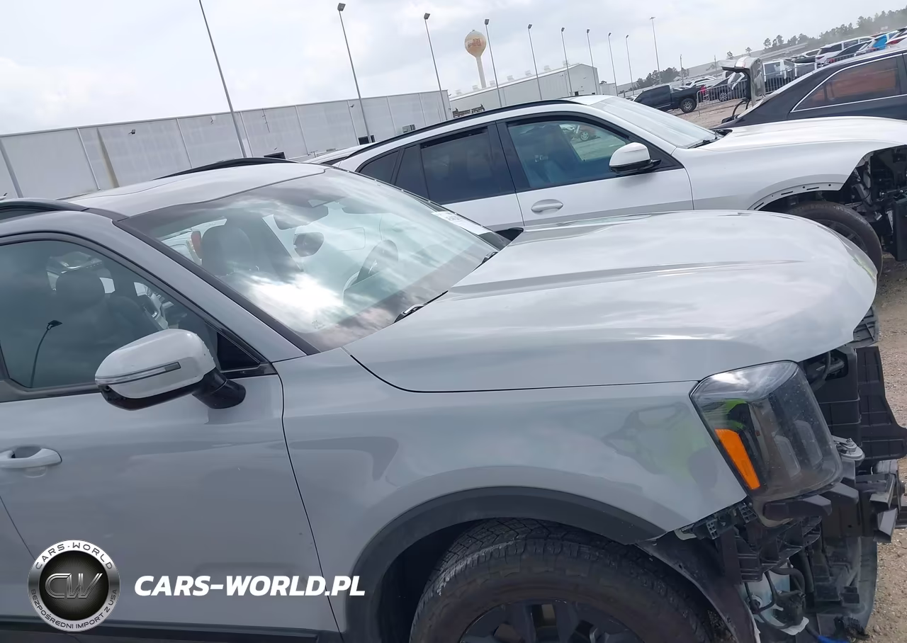 2024 Kia Telluride Sx Prestige X-Pro VIN:5XYP5DGC9RG496317 - 14