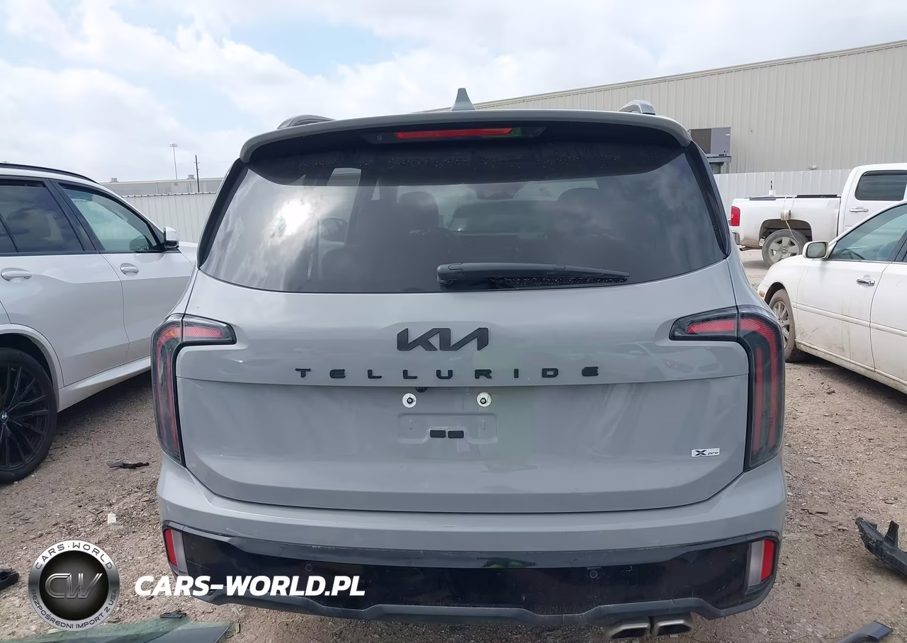 2024 Kia Telluride Sx Prestige X-Pro VIN:5XYP5DGC9RG496317 - 17