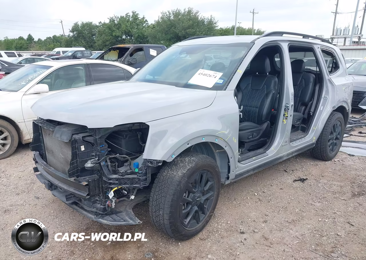 2024 Kia Telluride Sx Prestige X-Pro VIN:5XYP5DGC9RG496317 - 2