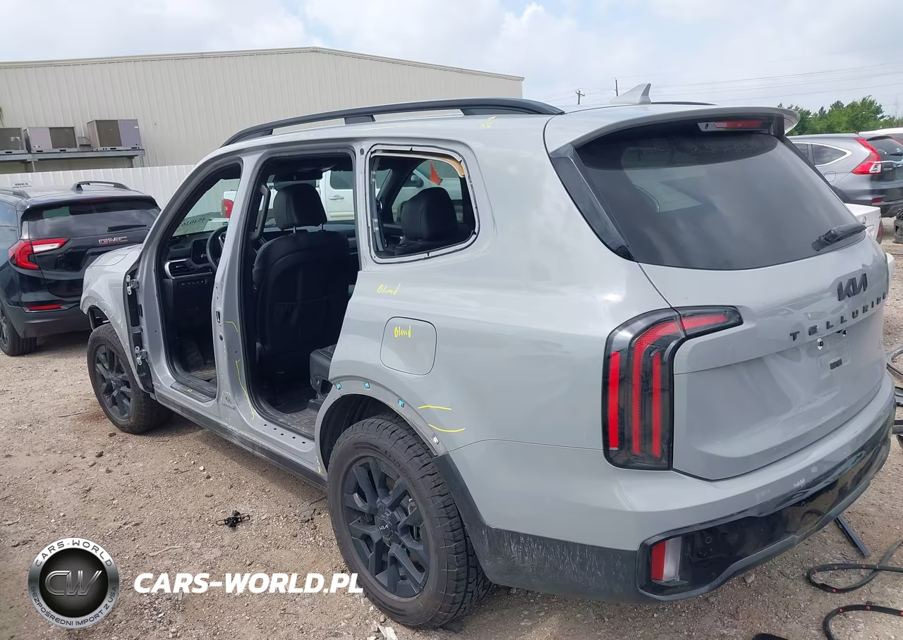 2024 Kia Telluride Sx Prestige X-Pro VIN:5XYP5DGC9RG496317 - 3