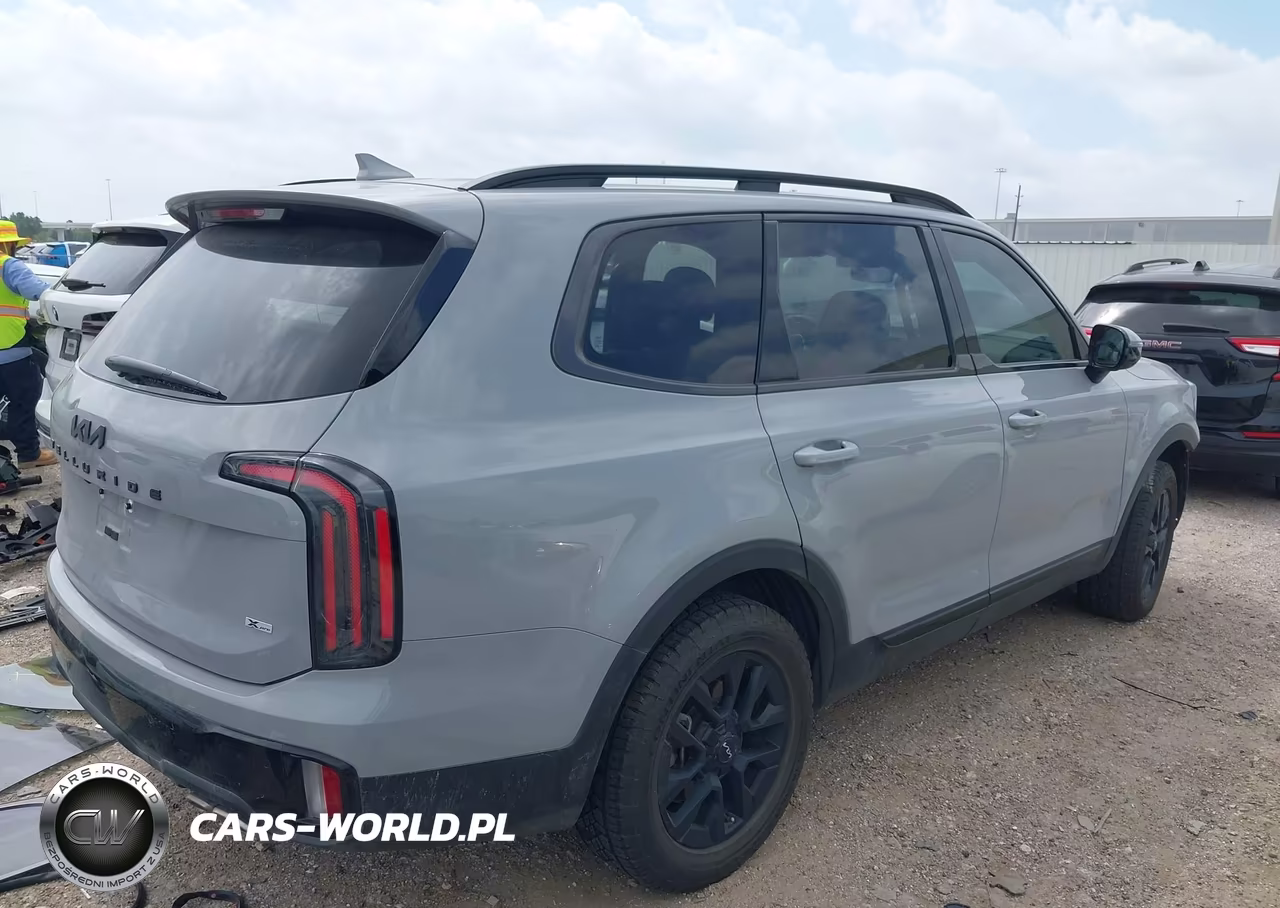 2024 Kia Telluride Sx Prestige X-Pro VIN:5XYP5DGC9RG496317 - 4