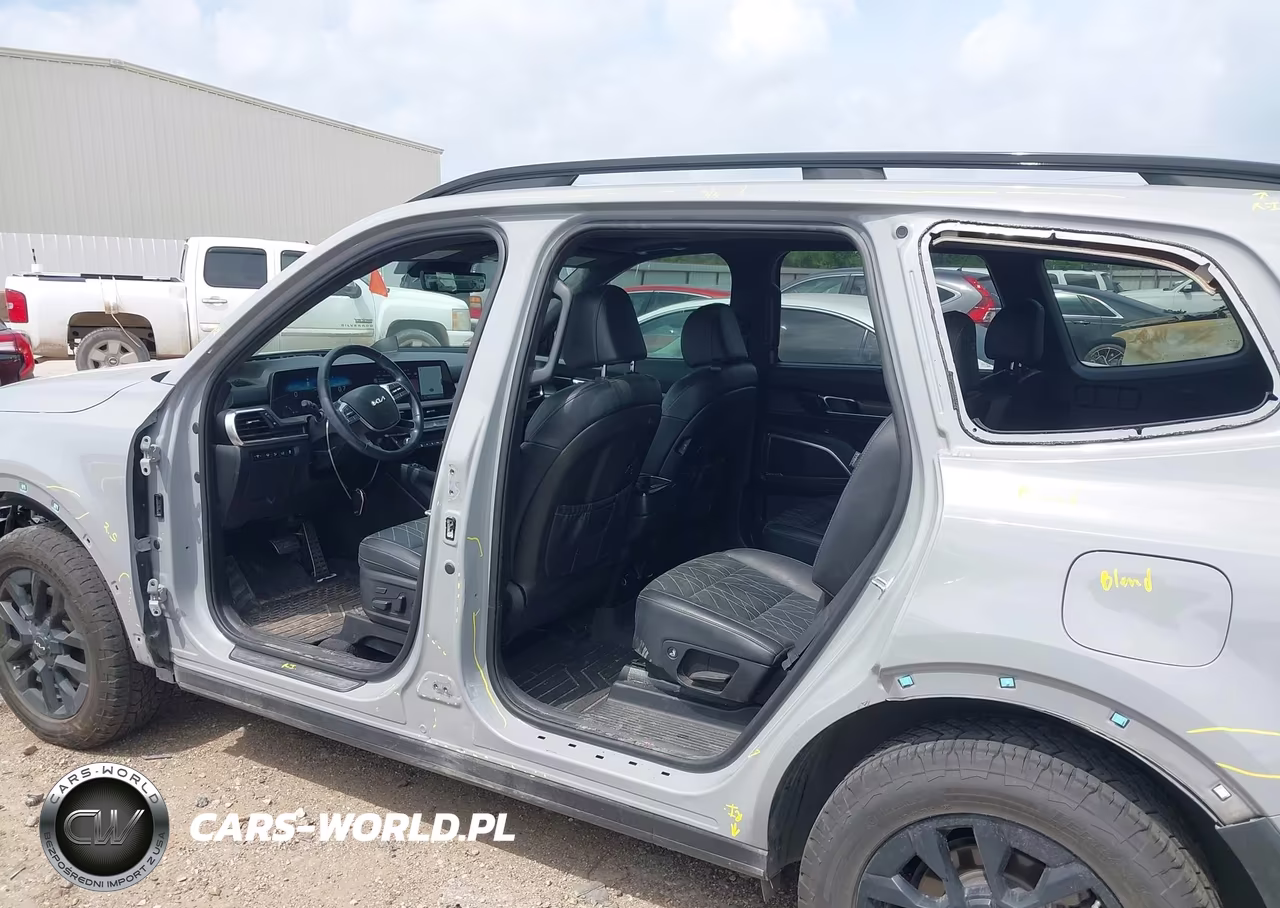 2024 Kia Telluride Sx Prestige X-Pro VIN:5XYP5DGC9RG496317 - 6