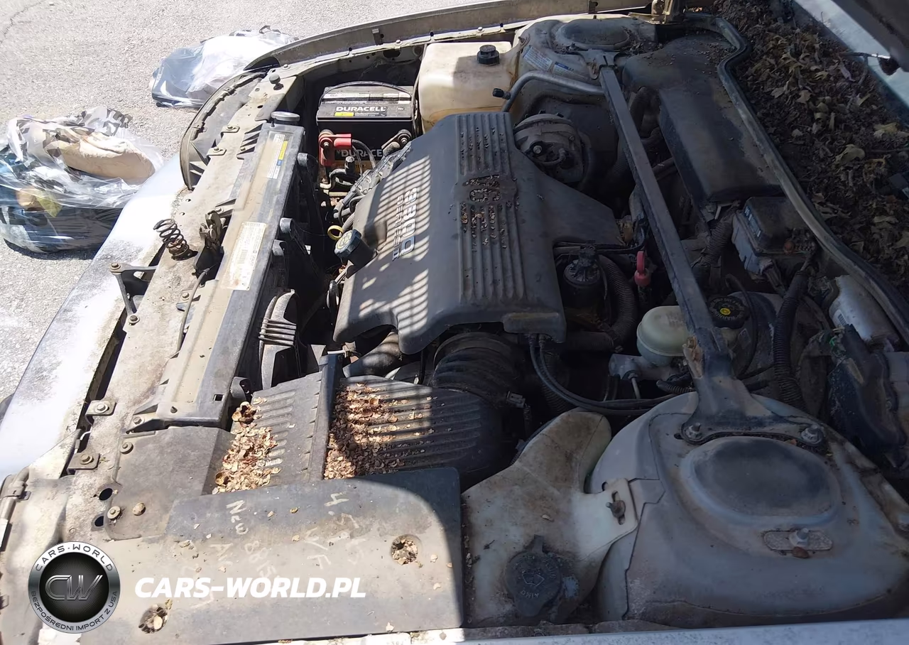 1997 Buick Lesabre Custom VIN:1G4HP52KXVH486508 - 10
