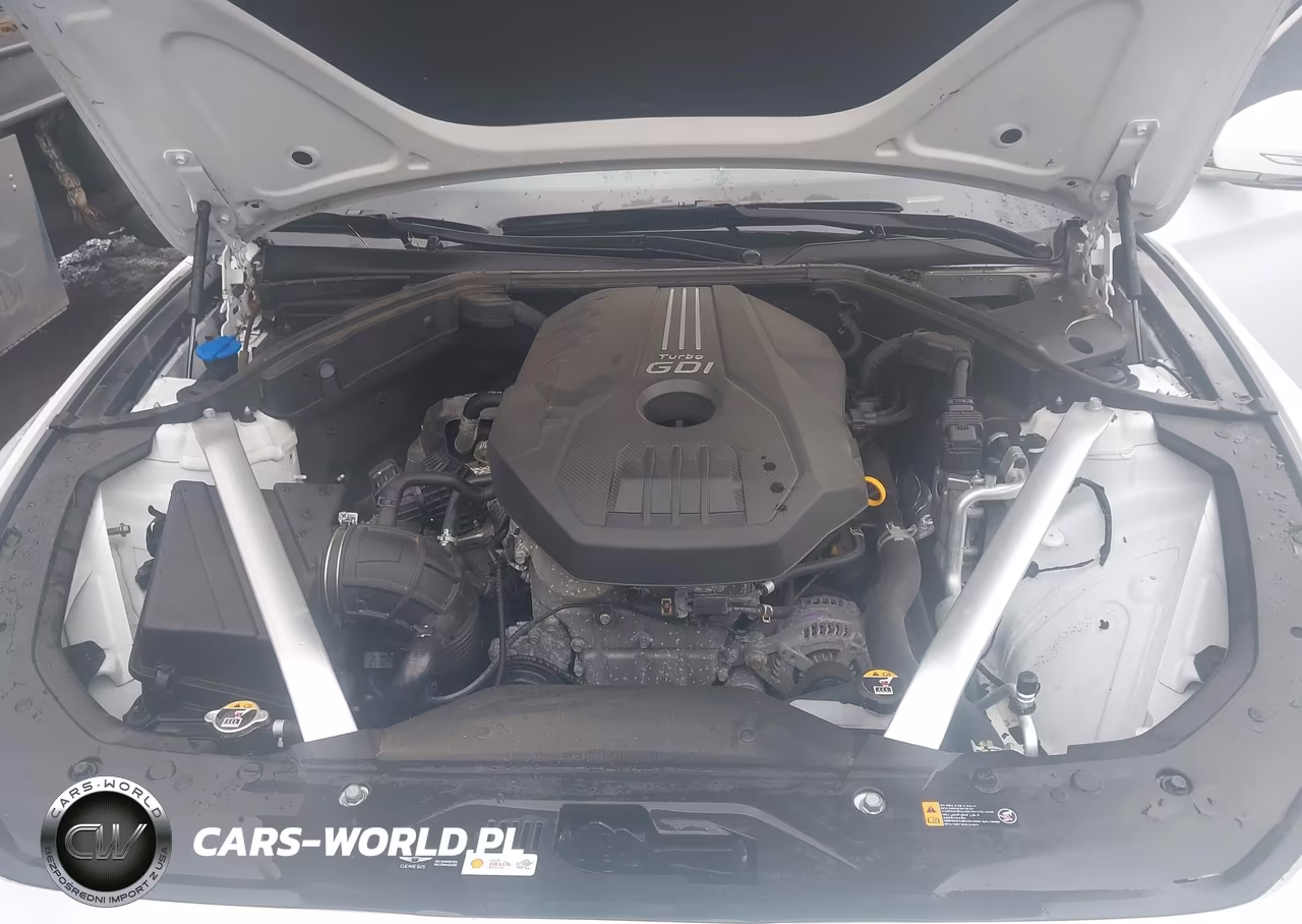 2023 Genesis G70 2.0T Awd VIN:KMTG34TA7PU106256 - 10