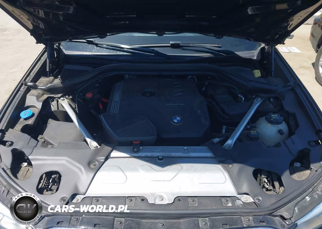 2021 BMW X3 Sdrive30I VIN:5UXTY3C03M9G70793 - 10
