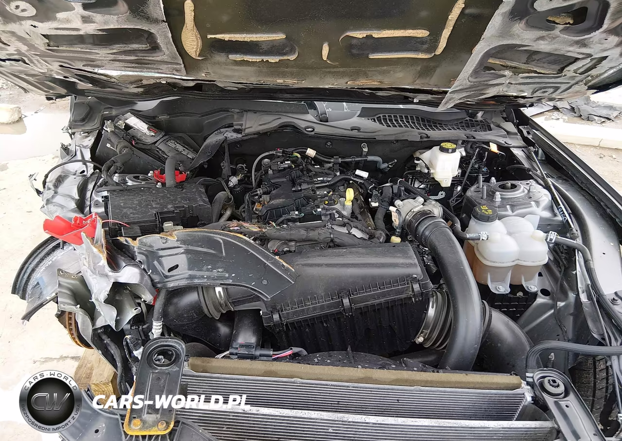 2024 Ford Mustang Ecoboost Fastback VIN:1FA6P8TH2R5143320 - 10