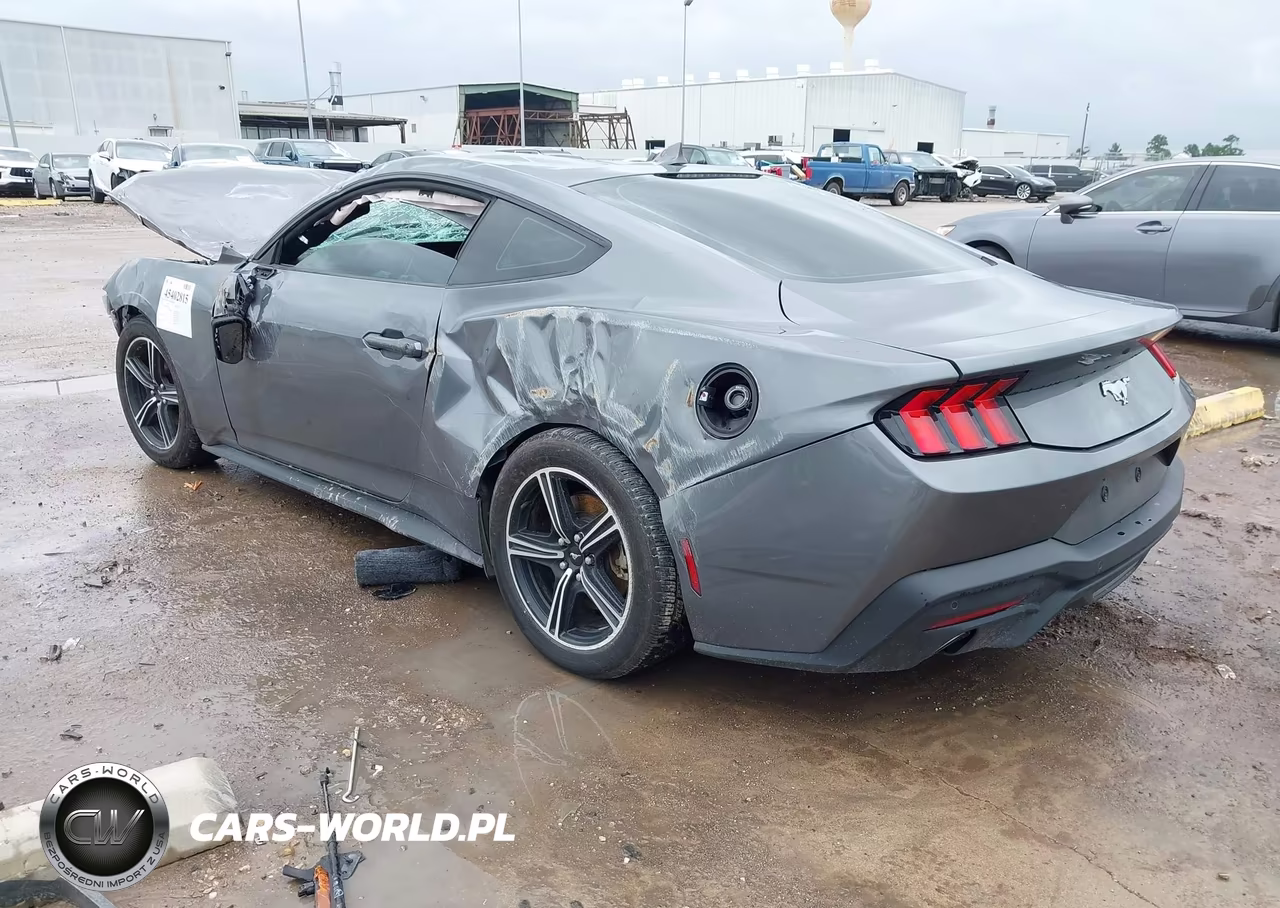 2024 Ford Mustang Ecoboost Fastback VIN:1FA6P8TH2R5143320 - 3
